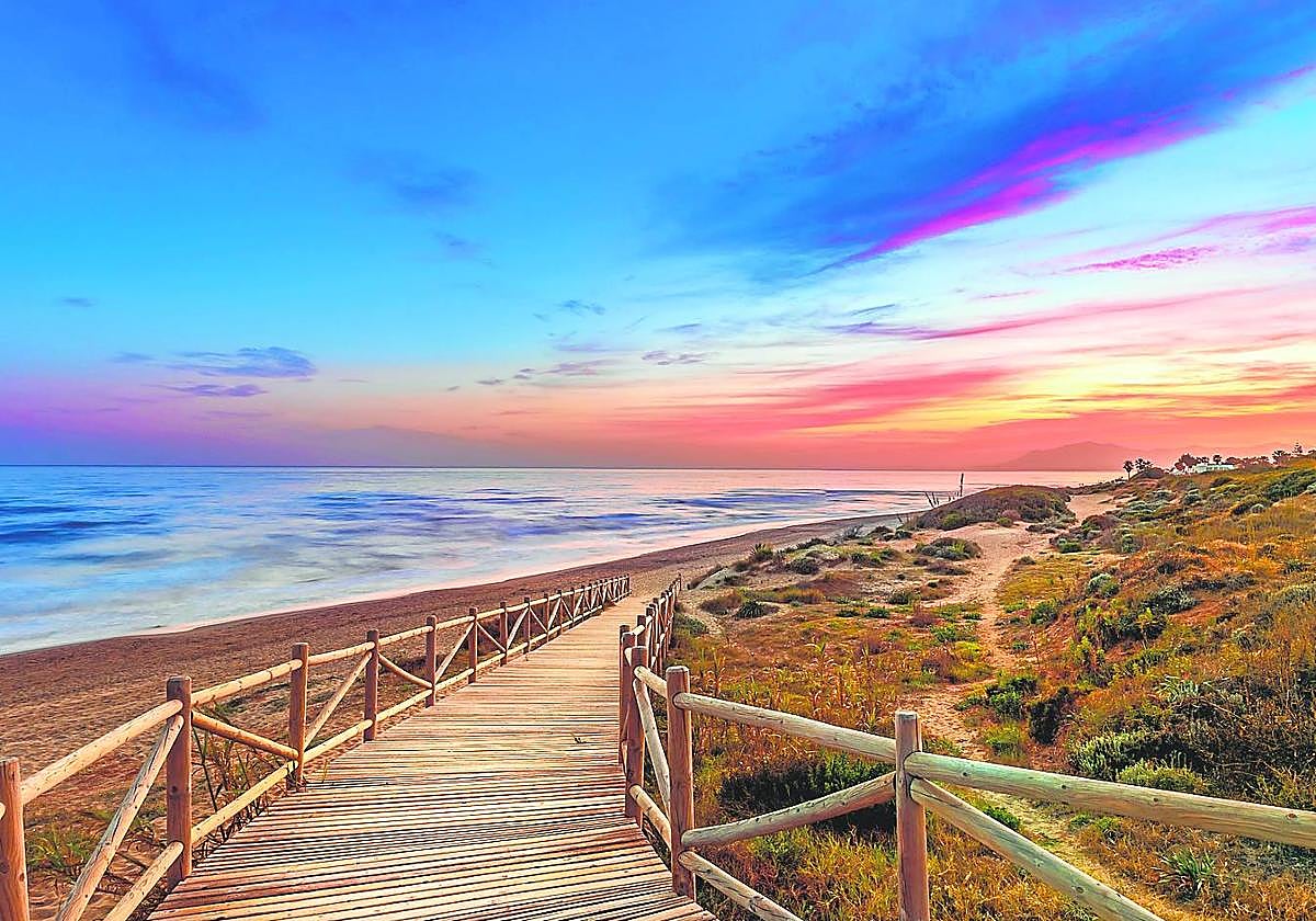 Artola Dunes an oasis of nature amid the urban sprawl of the Costa del